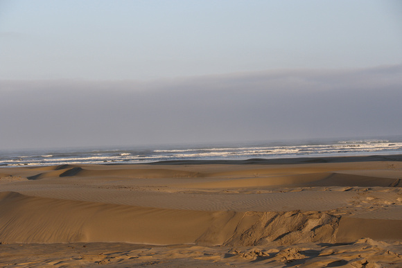 Dune Patterns Agate Beach