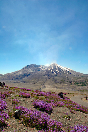 Mount St Helens from Johnston Ridge