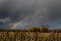 Rainbow Over Ridgefield
