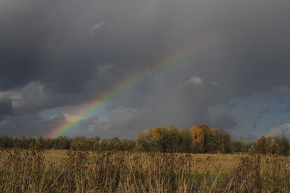 Rainbow Over Ridgefield