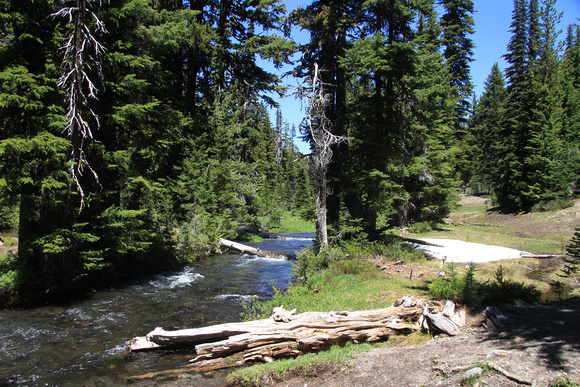 Fall Creek along the Green Lakes Trail