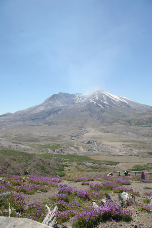 Mount St Helens from Boundary Trail