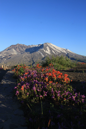 Mount St Helens from Loowit View Point