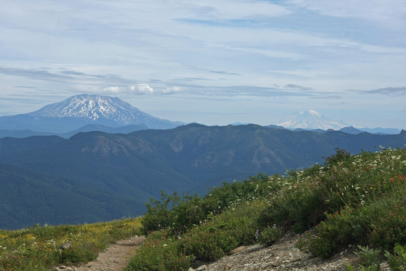 Mt St Helens and Mt Rainier from Silver Star Trail