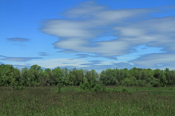 Clouds Over Ridgefield Wildlife Refuge