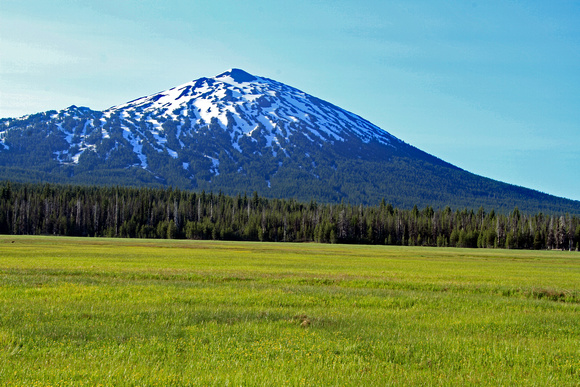 Mt Bachelor from Sparks Lake Meadow