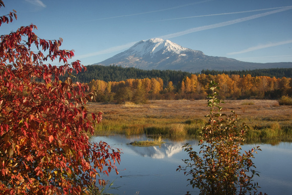 Mt Adams from Trout Lake